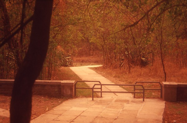 Pathway to the canteen shot through camera filers. 2003.