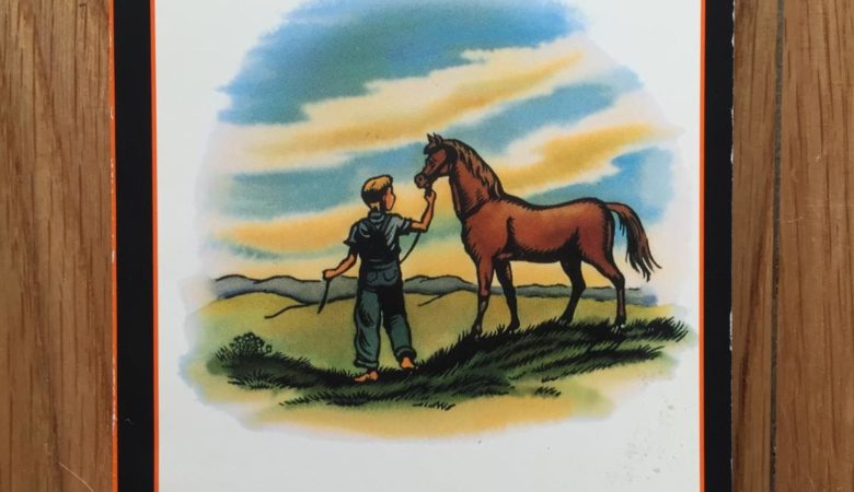 aThe Red Pony John Steinbeck