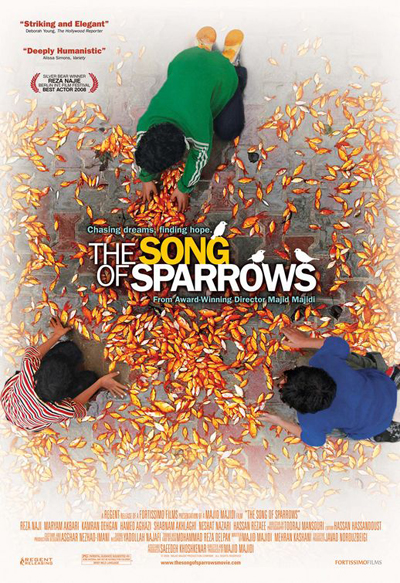 The Song Of Sparrows